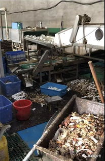 消毒餐具廠調(diào)查 車間堆積食物殘?jiān)?工人臟手套擦杯盤